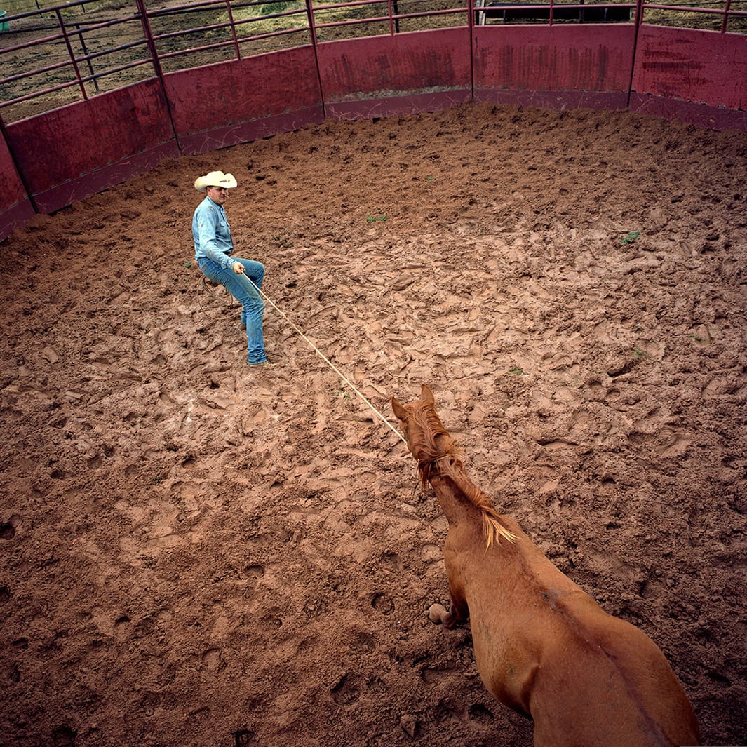Randal Gates breaking in a colt, JA Ranch, Texas, 2003. © Peter Byrne.