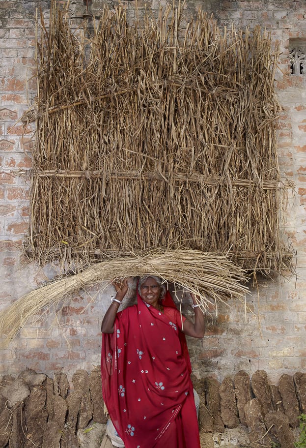 Bassanti, Inde, 2010 ©  Floriane de Lassée