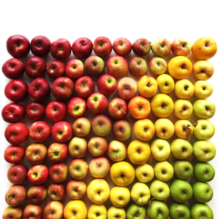 Brittany-Wright-Food-Gradients11-fisheyelemag