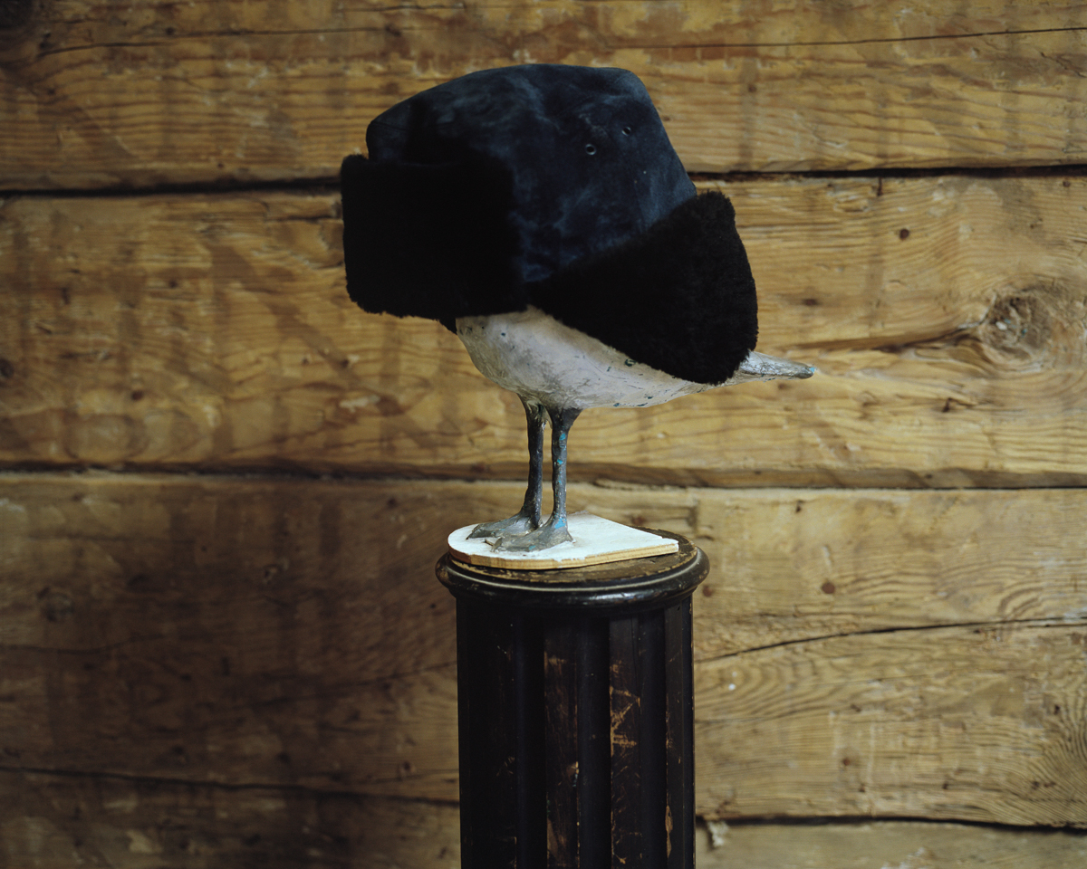Plasticine seagull sculpture with hat. Bolderaja, 2013