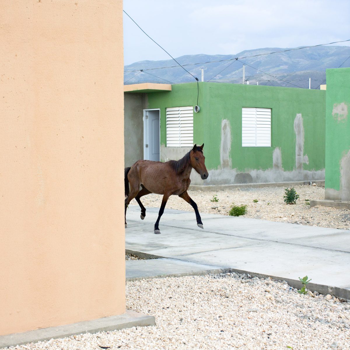 Extrait de "Haïti", © Corentin Fohlen | Texte : Marie Moglia