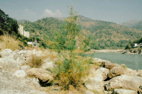 From "Postcards from Rishikesh" © Debmalya Choudhuri