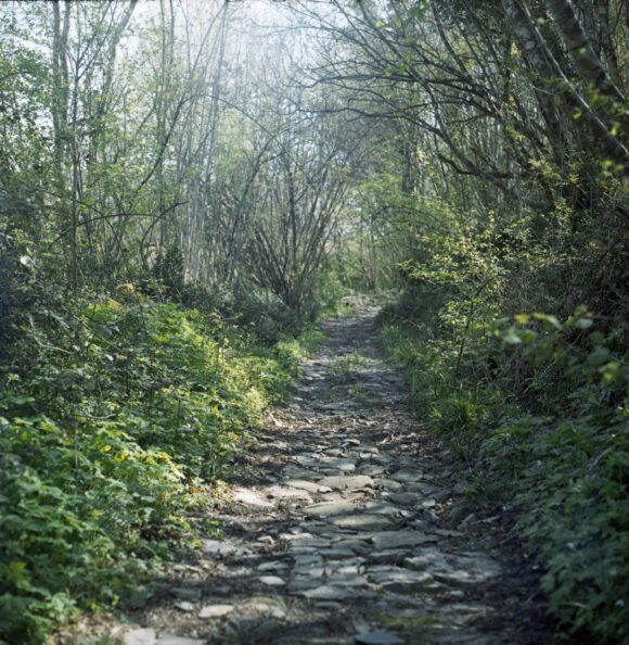 Via Francigena in Toscana 2015 Photo ©Ilaria Di Biagio