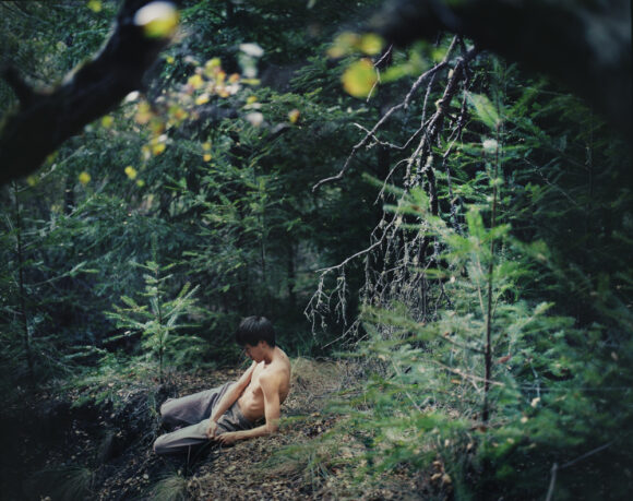 "In the Forrest" From "Beast by the Waterfall Guesthouse" © Wenxin Zhang