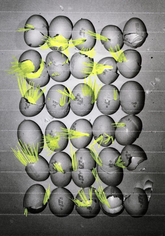 Maya Rochat, Vote for me! (Magic Eggs), 2012 Courtesy de l’artiste.
