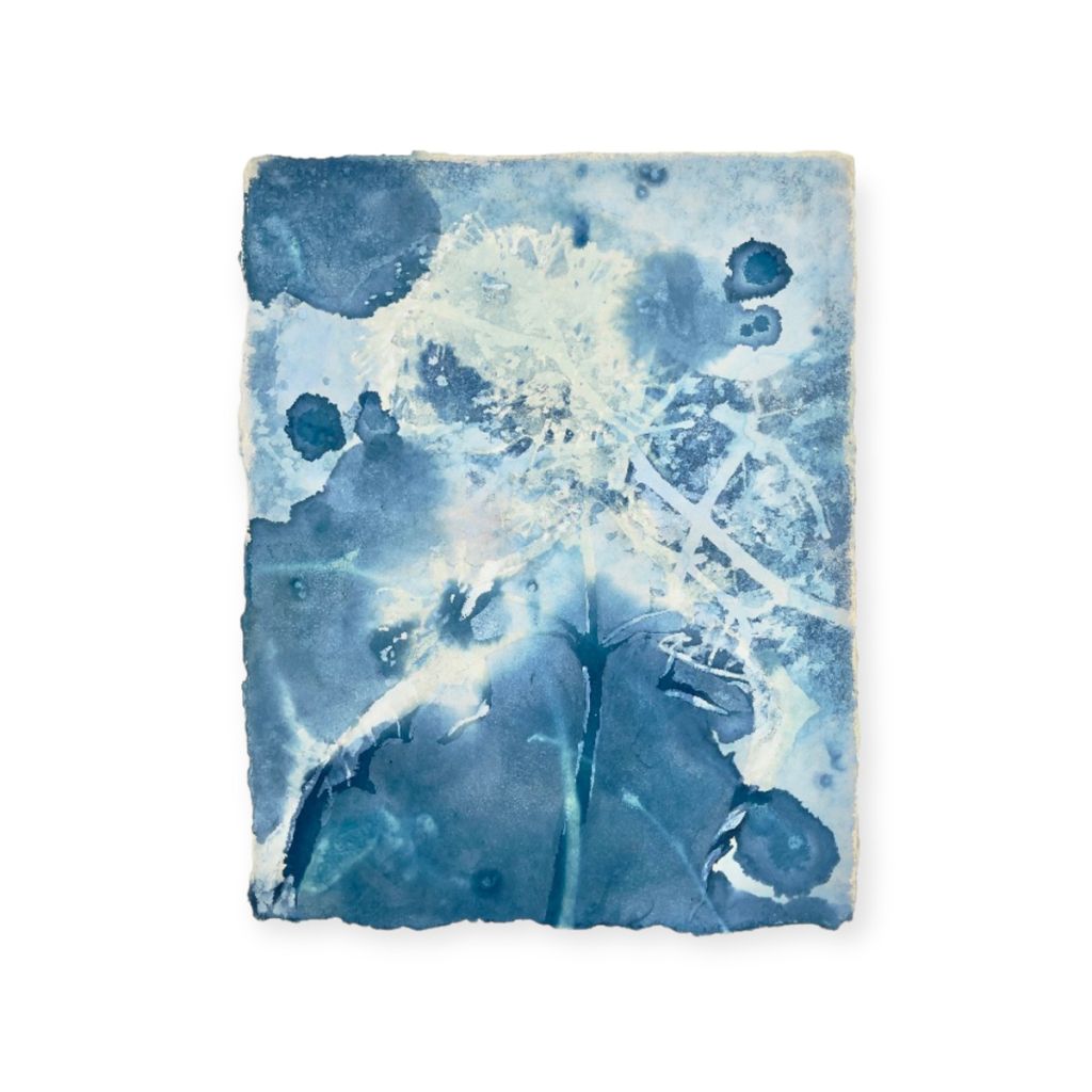 © Luc Pommet & Ayako Sakuragi, sans titre, 2023, cyanotype et huile sur papier / Courtesy of Galerie John Ferrère