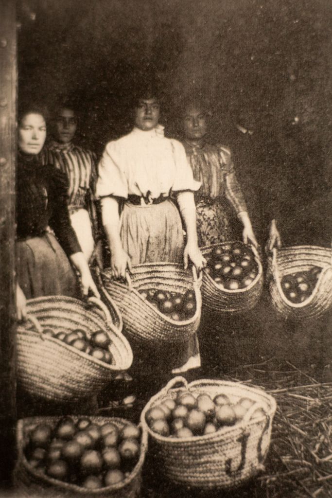 Image d'archive en noir et blanc, montrant les femmes de Cerbère qui ont mené la première grève féminine en France.