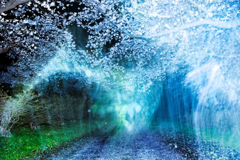 Transcendance par Kyotographie : promenade contemporaine au Japon