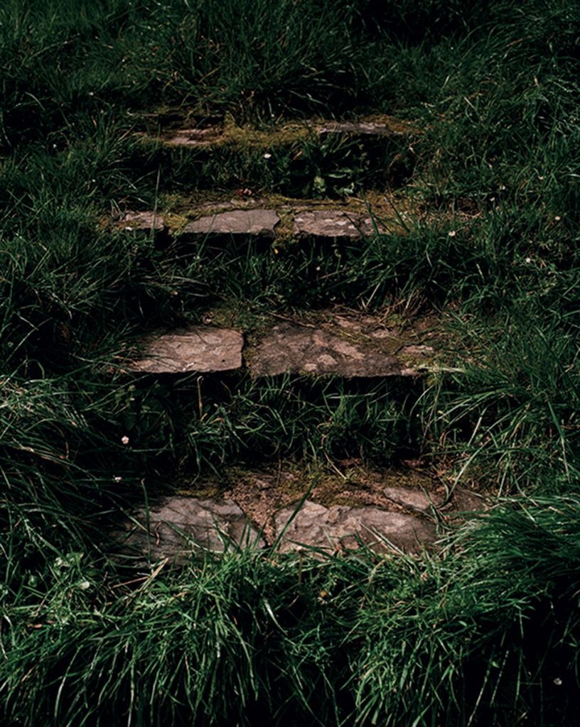 Photographie de Daniel Jack Lyons montrant un escalier dans la nature