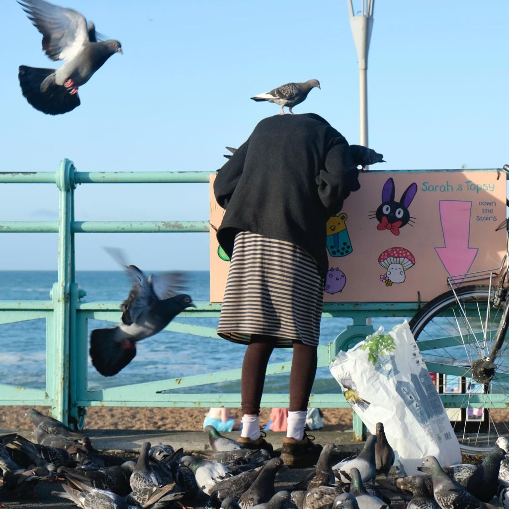 Une personne est penchée sur une barrière, la mer en arrière-plan. Des pigeons volent, un a même pris la place de la tête de la personne.