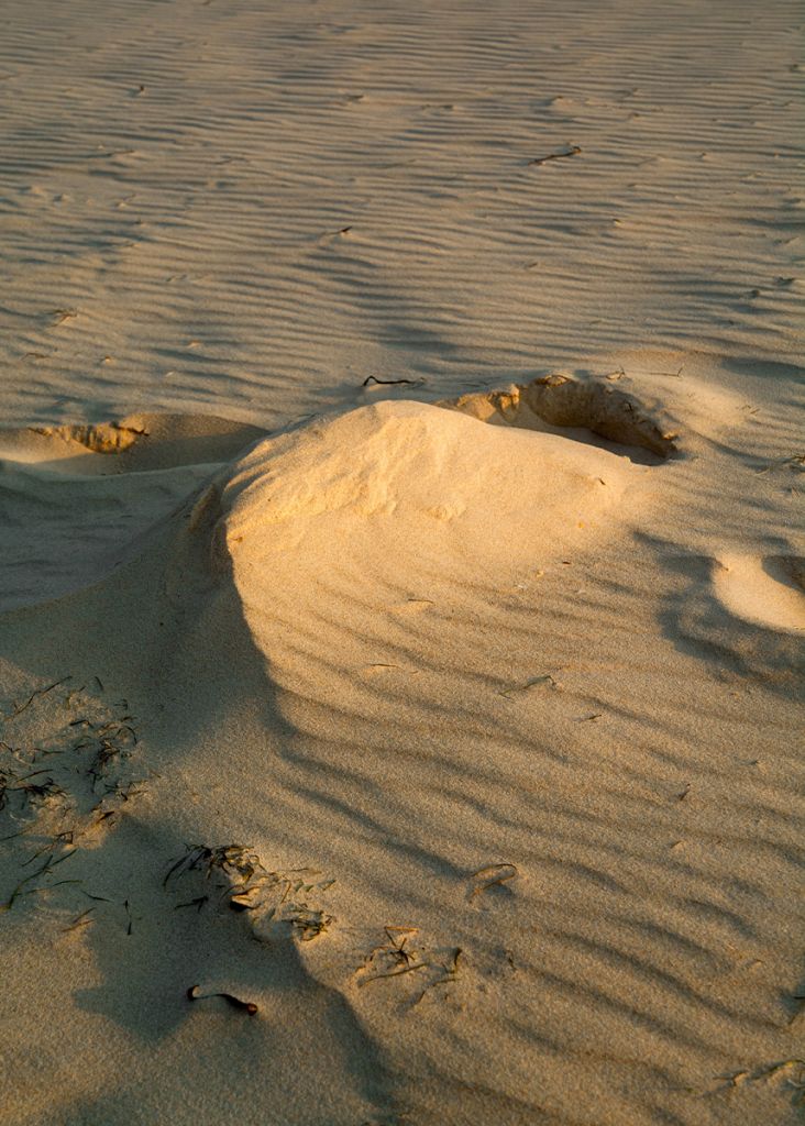 les reflets du sable