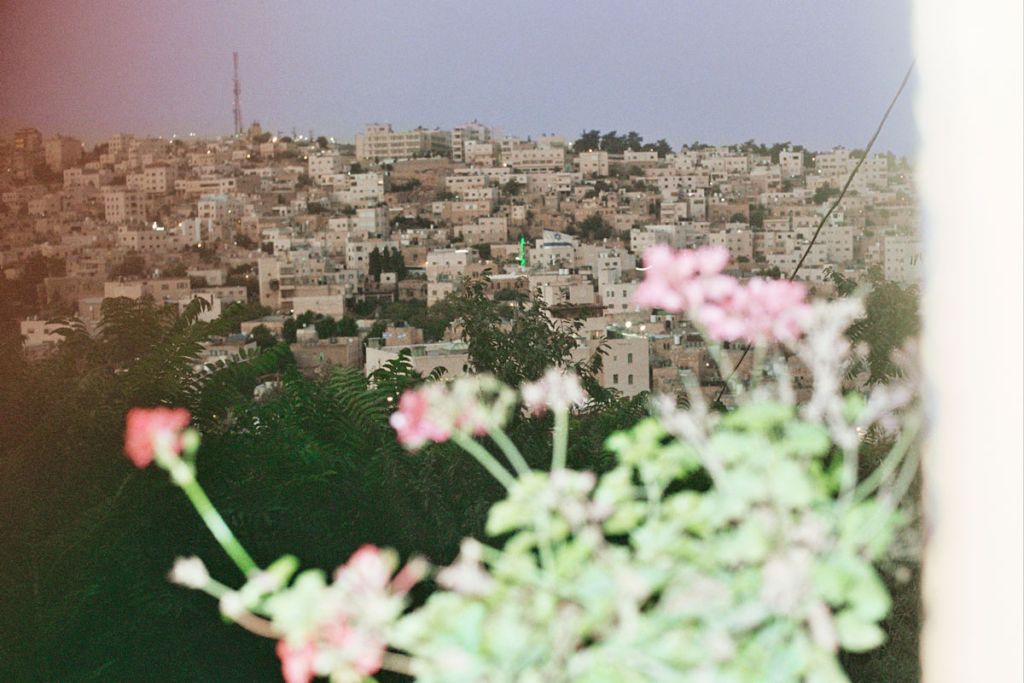 La ville de Tel Rumeida, à Hébron vue de loin. Au premier plan en flou, des fleurs