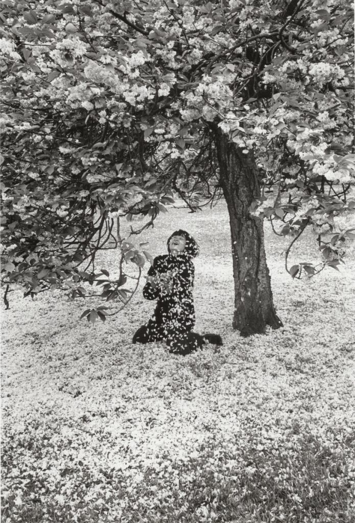 Photographie d'Edouard Boubat montrant une femme dans des pétales de cerisiers