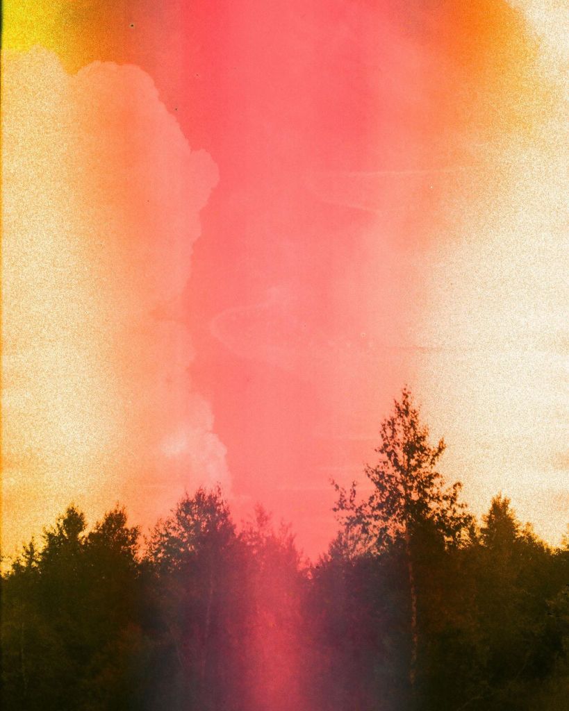 Image de la forêt et d'un ciel rouge orange, altéré par une soupe