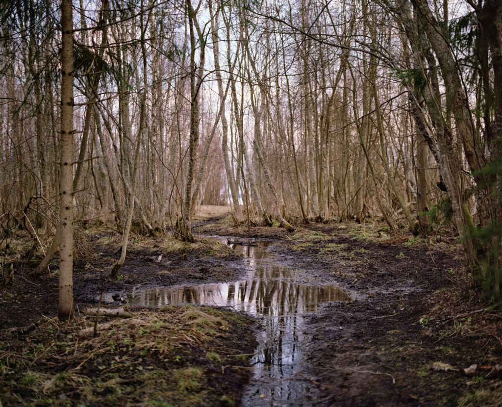 Photographie de Kati Leinonen montrant un paysage de forêt boueux en Finlande.