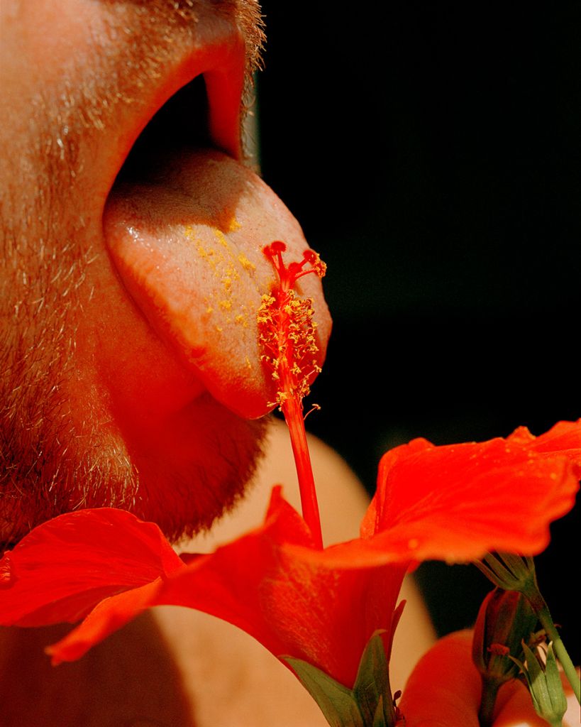 Photographie de Matthieu Croizier montrant un homme léchant un pistil d'hibiscus