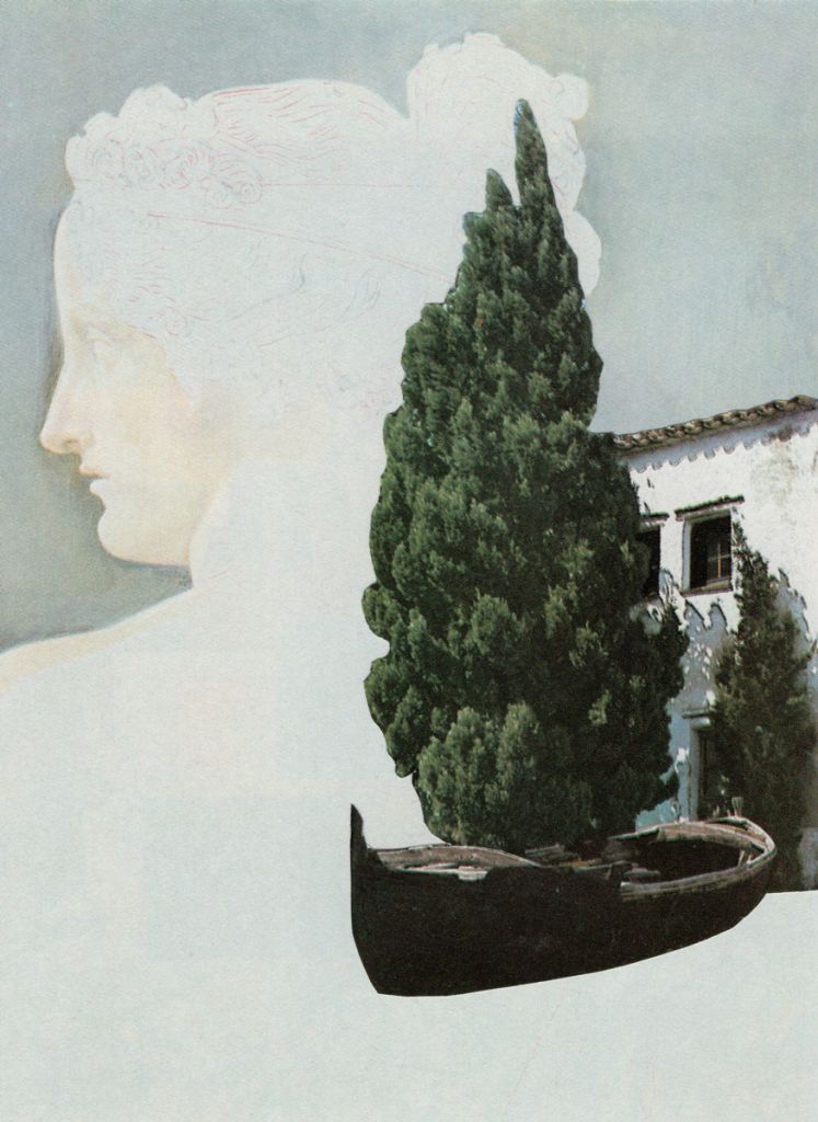 collage visage et arbre