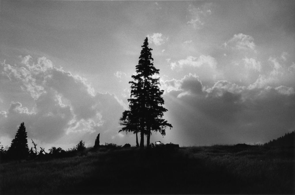 paysage en noir et blanc