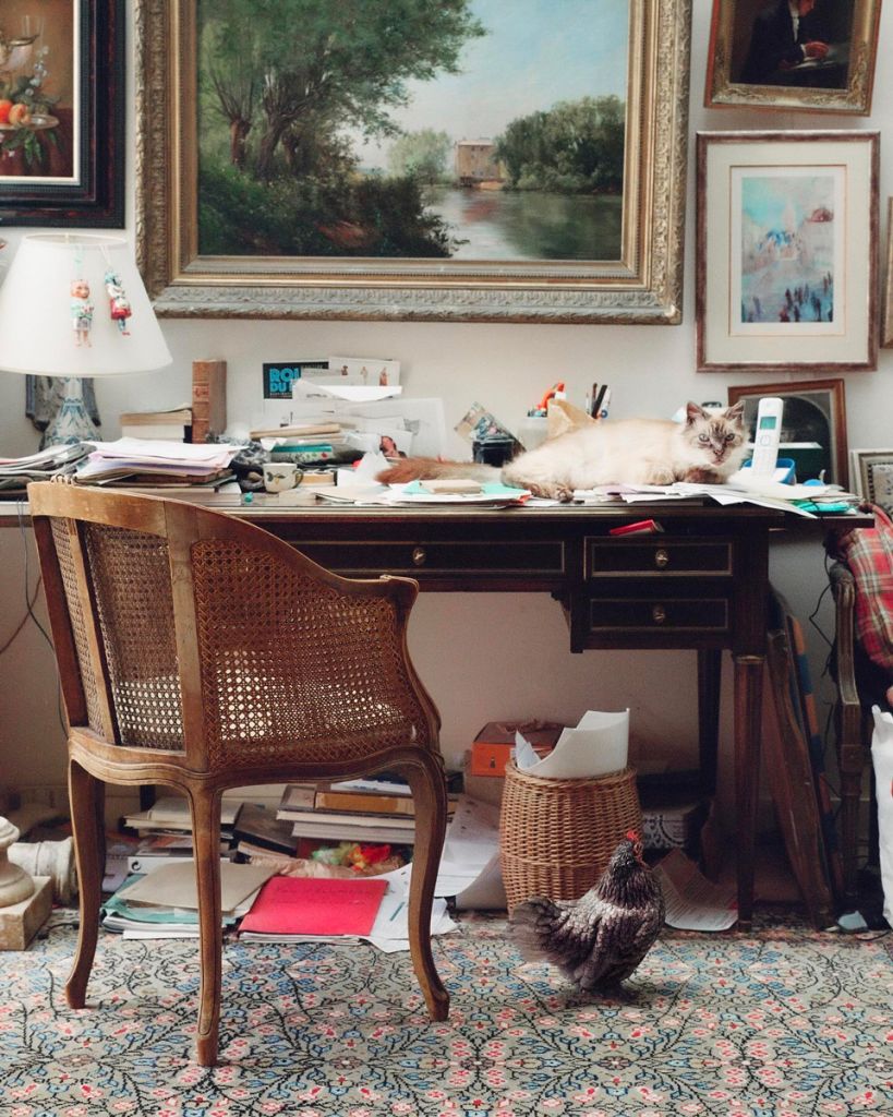 Bureau encombré sur lequel est allongé un chat blanc