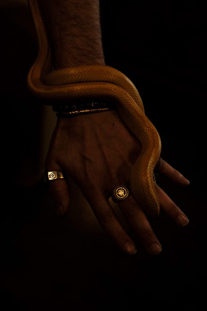 Photographie de Joan Alvado montrant un serpent sur une main