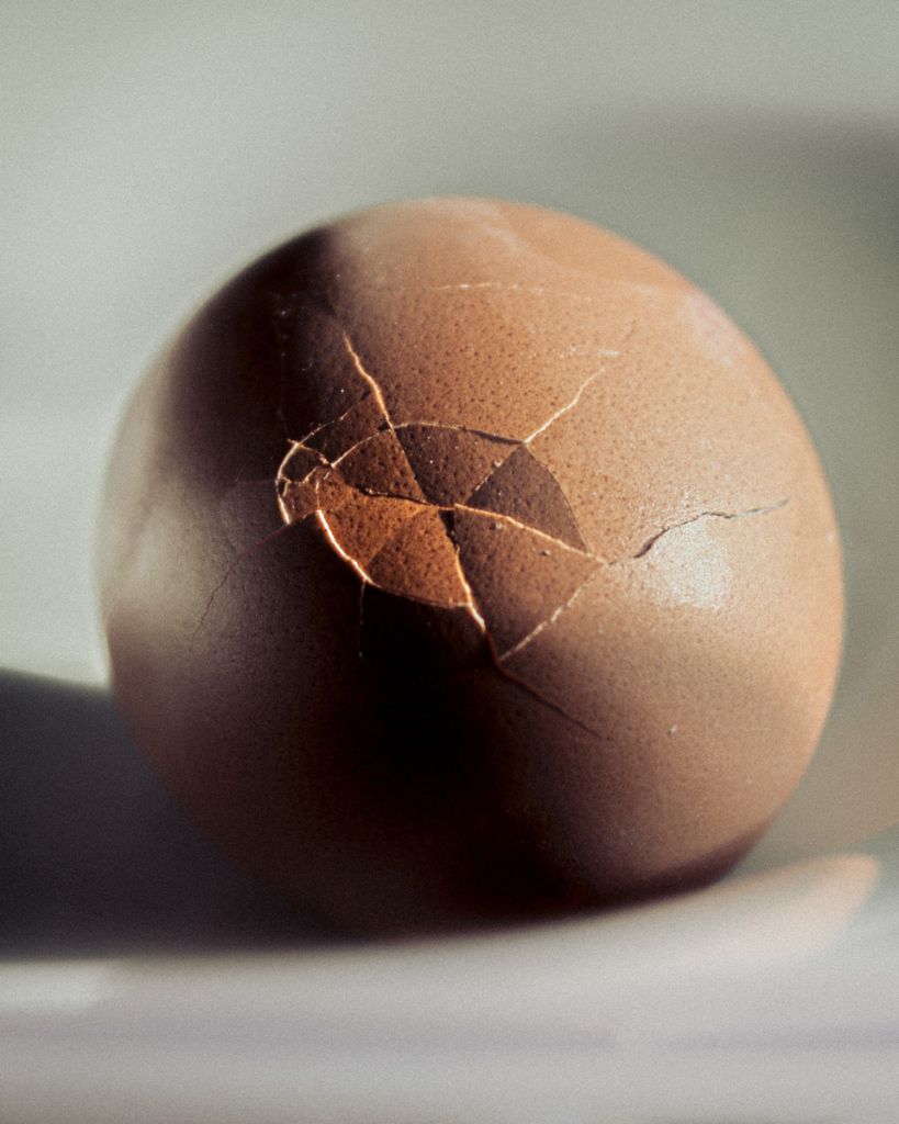 Photographie de Valentina Luraghi montrant une coquille d'œuf cassée