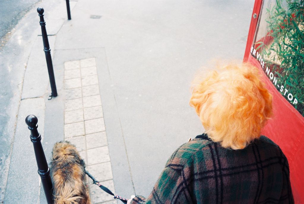 Personne aux cheveux organe de dos promenant son chien