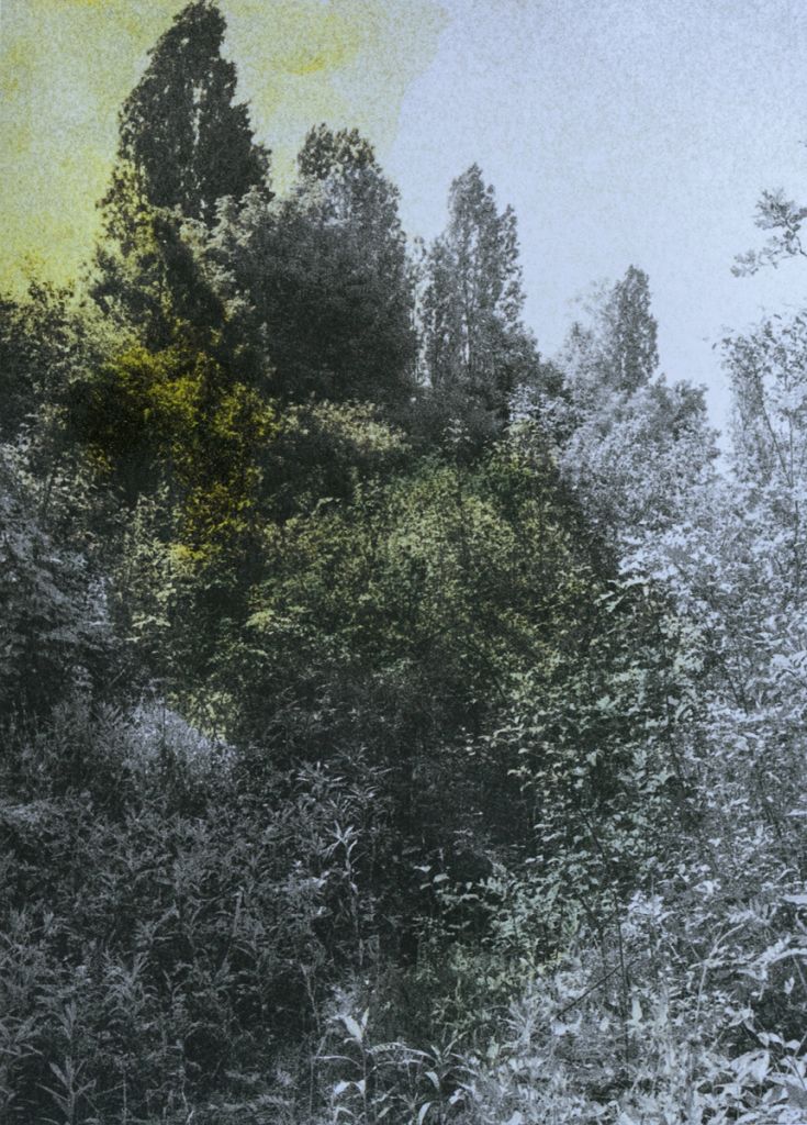 Photographie partiellement colorée de Clara Chichin et Sabatina Leccia montrant les murs à pêches de Montreuil