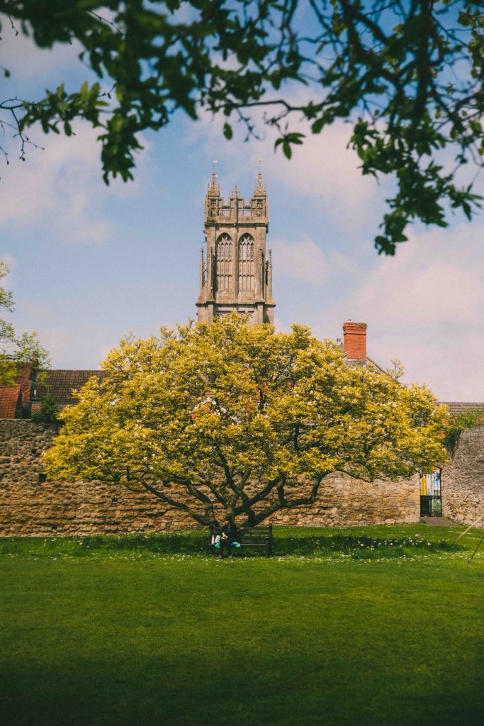 arbre devant une église