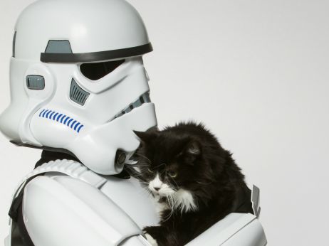 Star Wars pour l'adoption des animaux