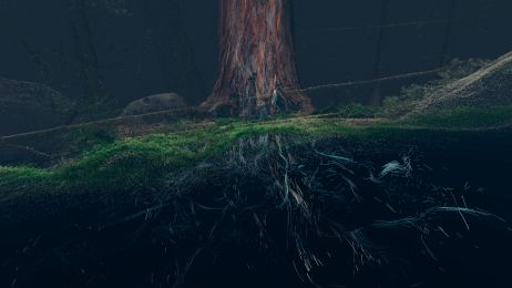 "Treehugger : Wawona" wins Best VR Film Award