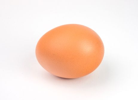 L'œuf et la foule