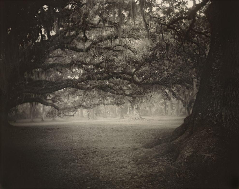 « Mille et un passages » : la rétrospective Sally Mann