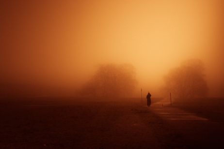 Les paysages brumeux de Markus von Knorring