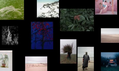 Et les douze finalistes du prix Nouvelles écritures de la photographie environnementale sont...
