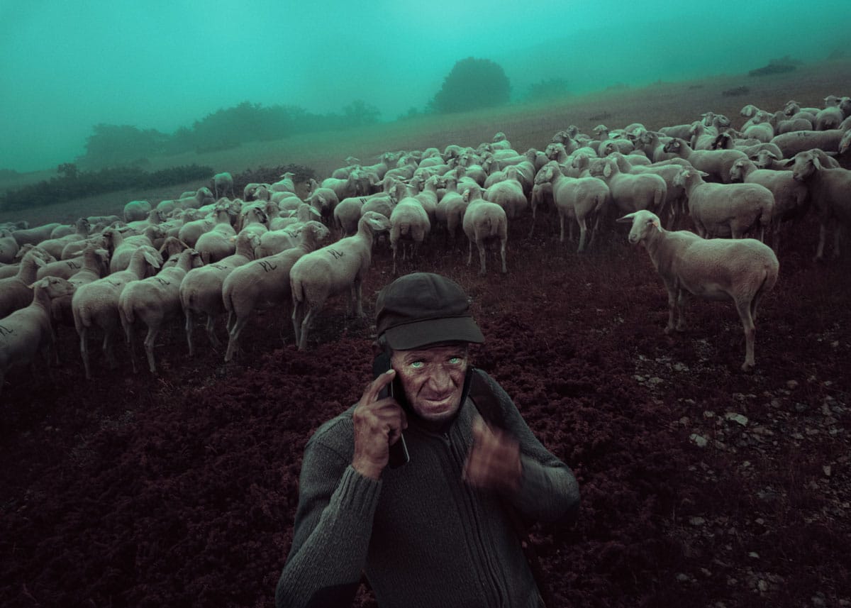 Lonely shepherd, Lord of the Rings and freedom: Francesco Lopazio's Chinese portrait
