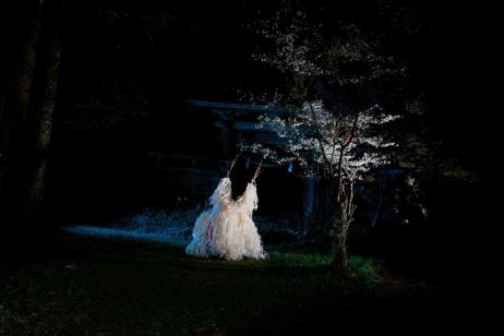 Women In Motion : Les cerisiers chamaniques de Ai Iwane