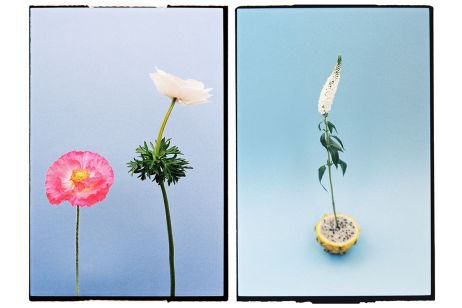 Les oraisons fleuries d’Andrea Rosemercy