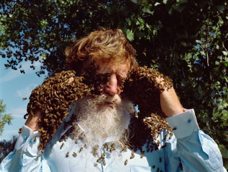 Dans l'œil de la photographe : Holly Lynton et les abeilles qui murmuraient à l'oreille de l'Homme